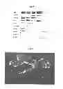 Fig. 06 - SEBOCYTES, SEBOCYTE CELL LINES AND APPLICATIONS THEREOF