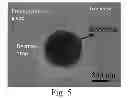 Fig. 07 - Engineering individually addressable cellular spheroids using aqueous two-phase systems
