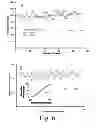 Fig. 08 - Engineering individually addressable cellular spheroids using aqueous two-phase systems