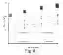 Fig. 10 - Engineering individually addressable cellular spheroids using aqueous two-phase systems