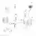 Fig. 04 - Enhancement of in vitro translation by nanoparticle conjugates