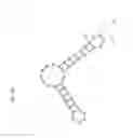 Fig. 07 - Enhancement of in vitro translation by nanoparticle conjugates