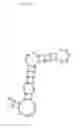 Fig. 10 - Enhancement of in vitro translation by nanoparticle conjugates