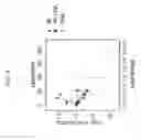 Fig. 13 - Enhancement of in vitro translation by nanoparticle conjugates