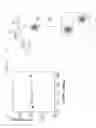 Fig. 16 - Enhancement of in vitro translation by nanoparticle conjugates