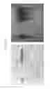 Fig. 17 - Enhancement of in vitro translation by nanoparticle conjugates