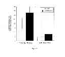 Fig. 08 - System for antibody expression and assembly