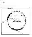 Fig. 02 - Nitrile hydratase
