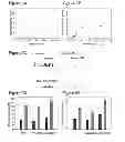 Fig. 07 - Recombinant  and methods of use