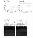 Fig. 08 - Recombinant  and methods of use