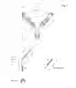 Fig. 02 - BIVALENT, BISPECIFIC ANTIBODIES