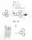 Fig. 07 - Nucleic acid structure complex including nucleic acids, Raman-active molecules, and metal particles, method of preparing the same, and method of detecting target material by using the nucleic acid structure complex