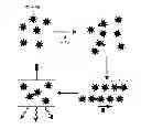 Fig. 01 - Detection of clusters of magnetic particles