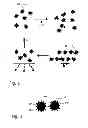 Fig. 02 - Detection of clusters of magnetic particles