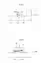 Fig. 06 - FLIP CHIP LIGHT EMITTING DEVICE PACKAGE AND MANUFACTURING METHOD THEREOF