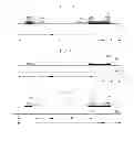 Fig. 06 - Liquid crystal display device and method of manufacturing the same