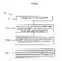 Fig. 08 - Method of manufacturing an integrated circuit having field effect transistors including a peak in a body dopant concentration