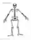 Fig. 04 - Outside/inside doll
