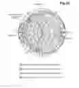 Fig. 32 - Transmit and receive transmission circuits coupled to a common antenna for a wireless communication device