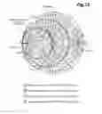 Fig. 33 - Transmit and receive transmission circuits coupled to a common antenna for a wireless communication device