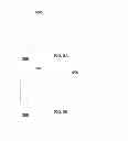 Fig. 06 - SYSTEMS AND METHODS FOR USER CUSTOMIZED SECURITY RESPONSES