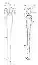 Fig. 04 - Bat Swing Training Aid