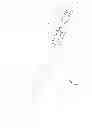 Fig. 01 - Device and method for illuminating an arrow nock