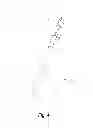 Fig. 05 - Device and method for illuminating an arrow nock