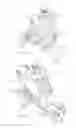 Fig. 06 - Abdominal muscle exercise machine