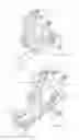 Fig. 07 - Abdominal muscle exercise machine