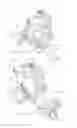 Fig. 09 - Abdominal muscle exercise machine