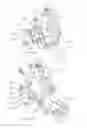Fig. 22 - Abdominal muscle exercise machine