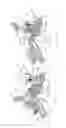 Fig. 28 - Abdominal muscle exercise machine