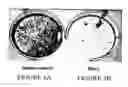 Fig. 07 - CUSTOM-MADE MEGANUCLEASE AND USE THEREOF