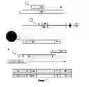 Fig. 37 - System and methods for detecting genetic variation