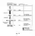 Fig. 48 - System and methods for detecting genetic variation