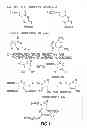 Fig. 02 - Compositions and methods for the identification of inhibitors of retroviral infection