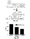 Fig. 02 - METHOD OF DETERMINING THE PROGNOSIS OF HEPATOCELLULAR CARCINOMAS USING A MULTIGENE SIGNATURE ASSOCIATED WITH METASTASIS