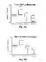 Fig. 05 - METHOD OF DETERMINING THE PROGNOSIS OF HEPATOCELLULAR CARCINOMAS USING A MULTIGENE SIGNATURE ASSOCIATED WITH METASTASIS