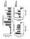 Fig. 20 - METHOD OF DETERMINING THE PROGNOSIS OF HEPATOCELLULAR CARCINOMAS USING A MULTIGENE SIGNATURE ASSOCIATED WITH METASTASIS
