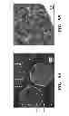 Fig. 09 - SYSTEMS AND METHODS FOR HIGH RESOLUTION BIOMOLECULAR IMAGING AND ANALYSIS