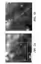 Fig. 11 - SYSTEMS AND METHODS FOR HIGH RESOLUTION BIOMOLECULAR IMAGING AND ANALYSIS