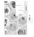 Fig. 13 - SYSTEMS AND METHODS FOR HIGH RESOLUTION BIOMOLECULAR IMAGING AND ANALYSIS