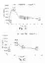 Fig. 02 - Shortened secreted polypeptides