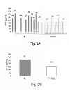 Fig. 04 - Shortened secreted polypeptides
