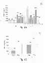 Fig. 06 - Shortened secreted polypeptides