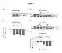 Fig. 05 - METHODS FOR TREATING PROGRESSIVE COGNITIVE DISORDERS RELATED TO NEUROFIBRILLARY TANGLES