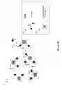 Fig. 11 - Terminally-functionalized conjugates and uses thereof