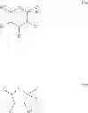 Fig. 13 - Terminally-functionalized conjugates and uses thereof