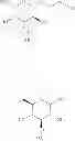 Fig. 17 - Terminally-functionalized conjugates and uses thereof